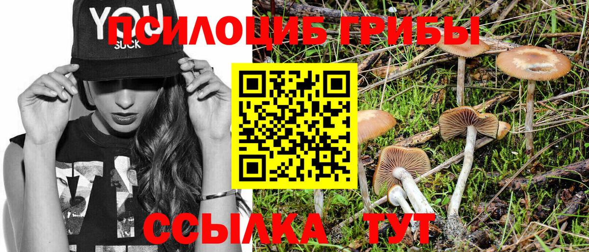 Можайск  Галлюциногенные грибы Magic Shrooms  Вход с VPN  Псилоцибиновые грибы ЛСД 